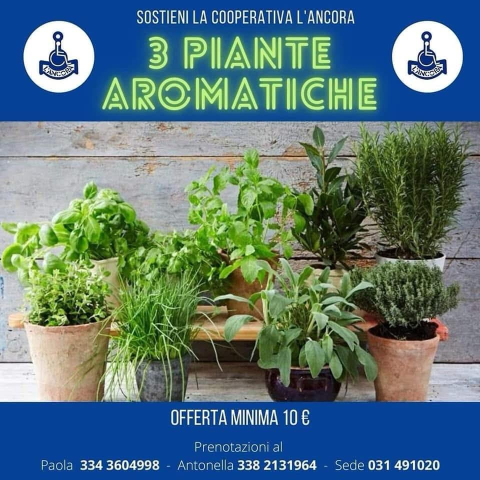 Campagna delle tre piante aromatiche a sostegno della cooperativa